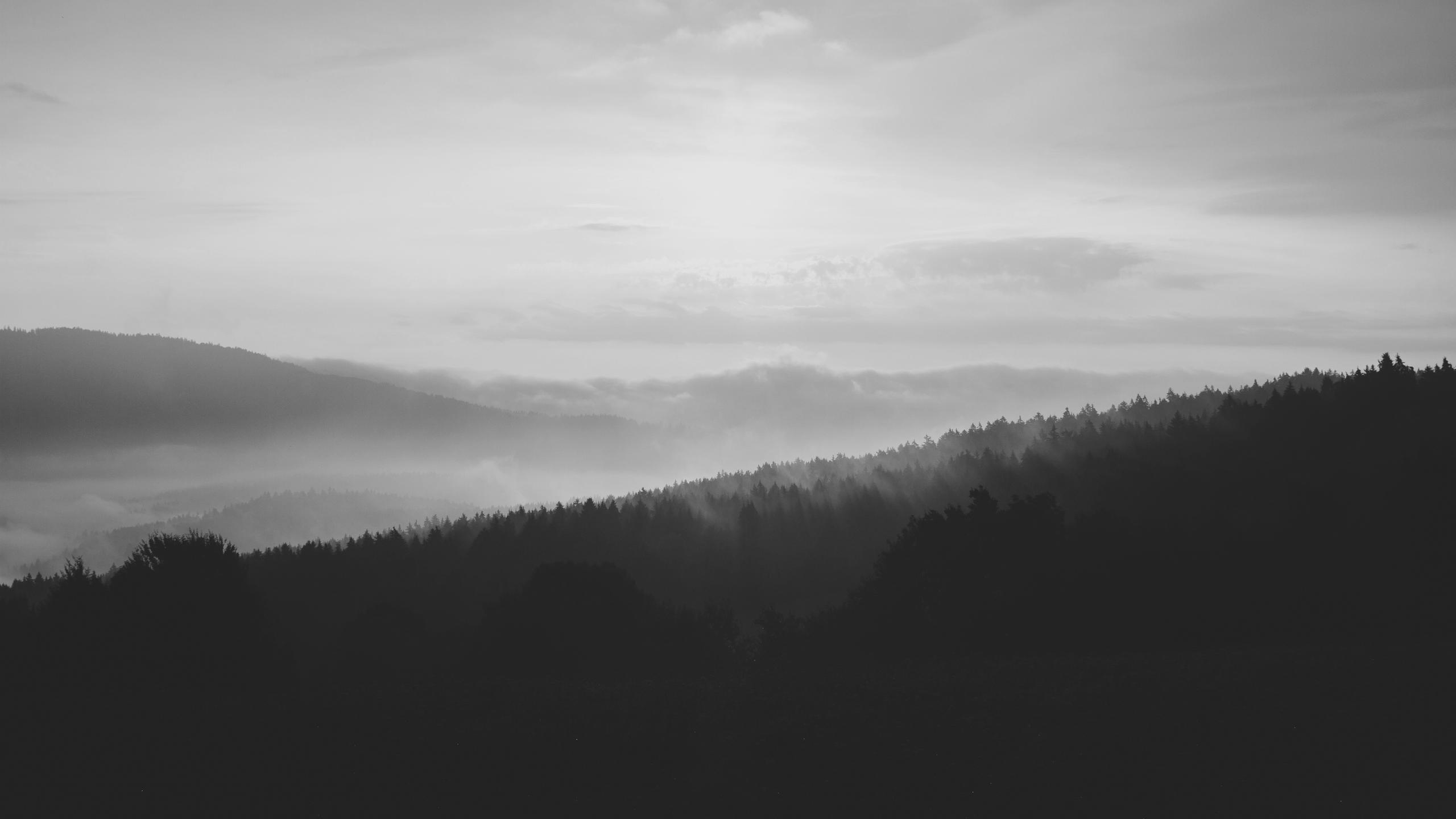 fog over mountains